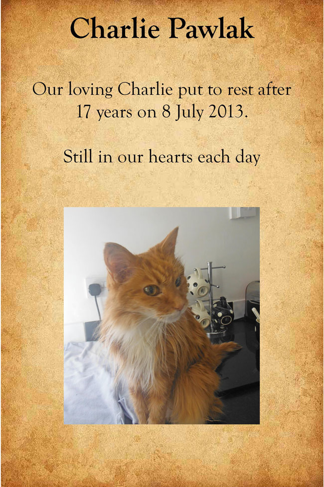 Pet Tribute to Charlie Pawlak