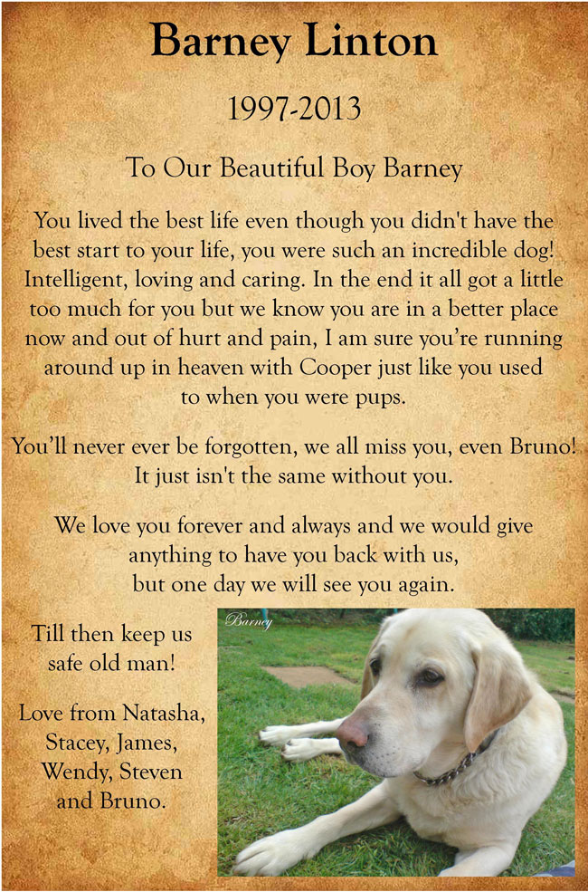 Pet Tribute to Barney Linton