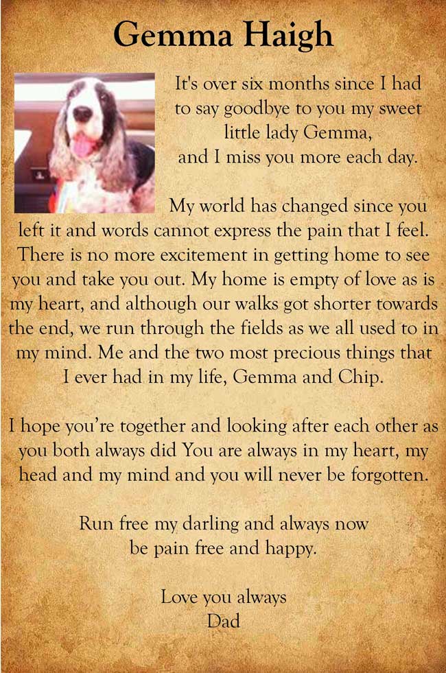 Pet Tribute to Gemma Haigh 4