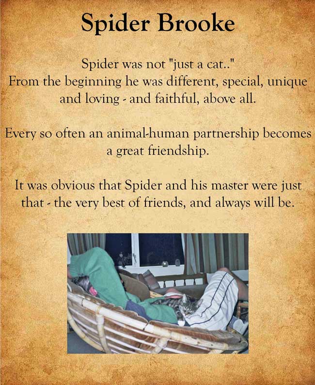 Pet Tribute 2 to Spider Brooke