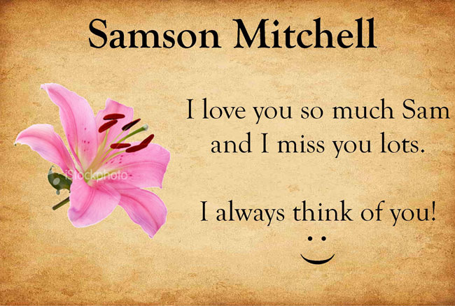 Pet Tribute to Samson Mitchell