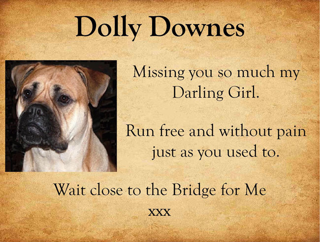 Pet Tribute to Dolly Downs