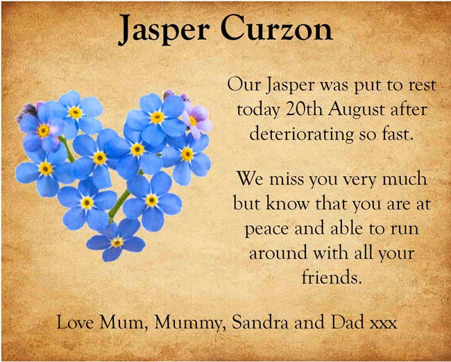 Pet Tribute to Jasper Curzon