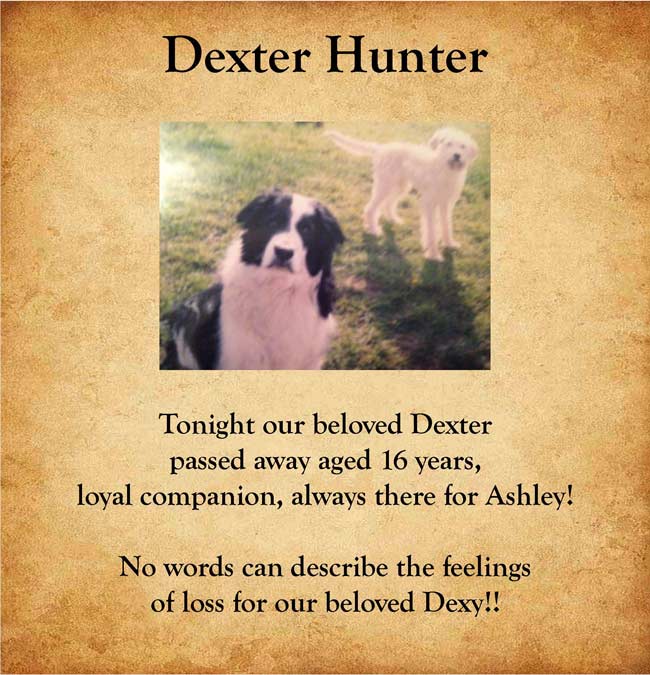 Pet Tribute to Dexter Hunter