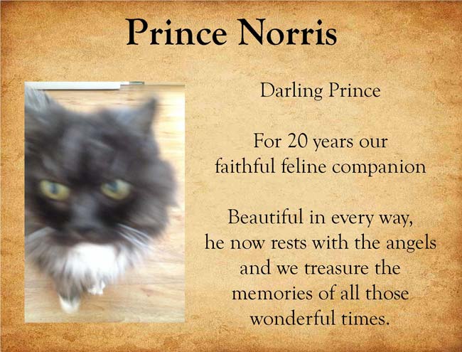 Pet Tribute to Prince Norris
