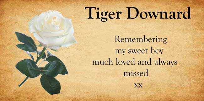 Pet Tribute to Tiger Downard