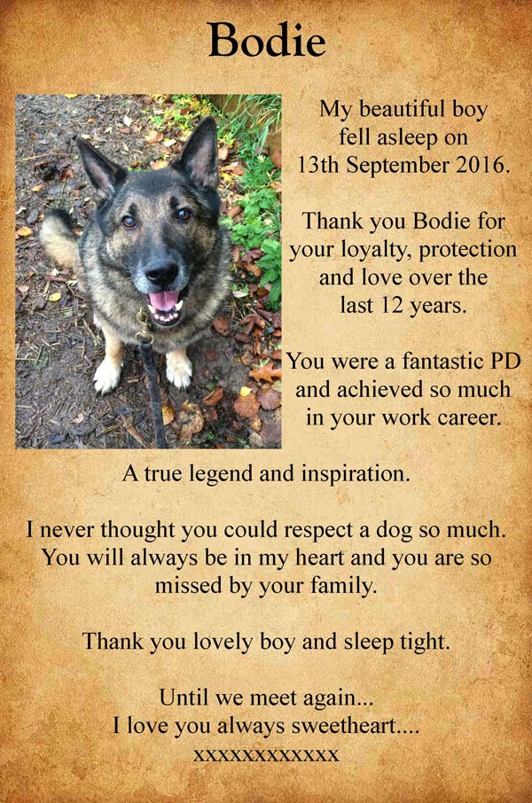 Pet Tribute to Bodie Fisher