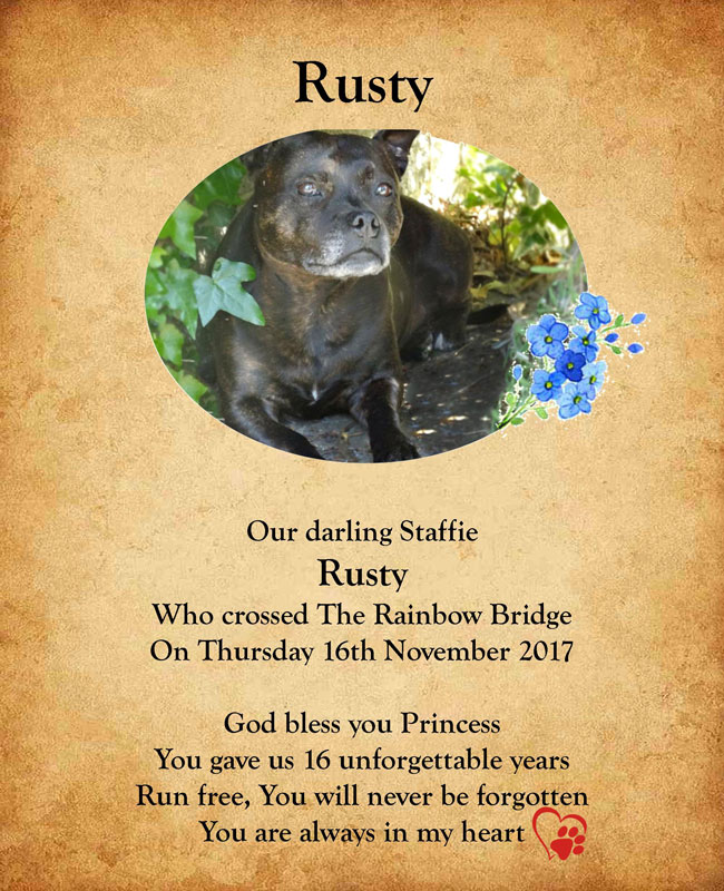 Pet Tribute to Rusty Doyle