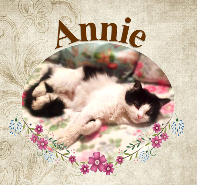 Pet Tribute to Annie Perkins