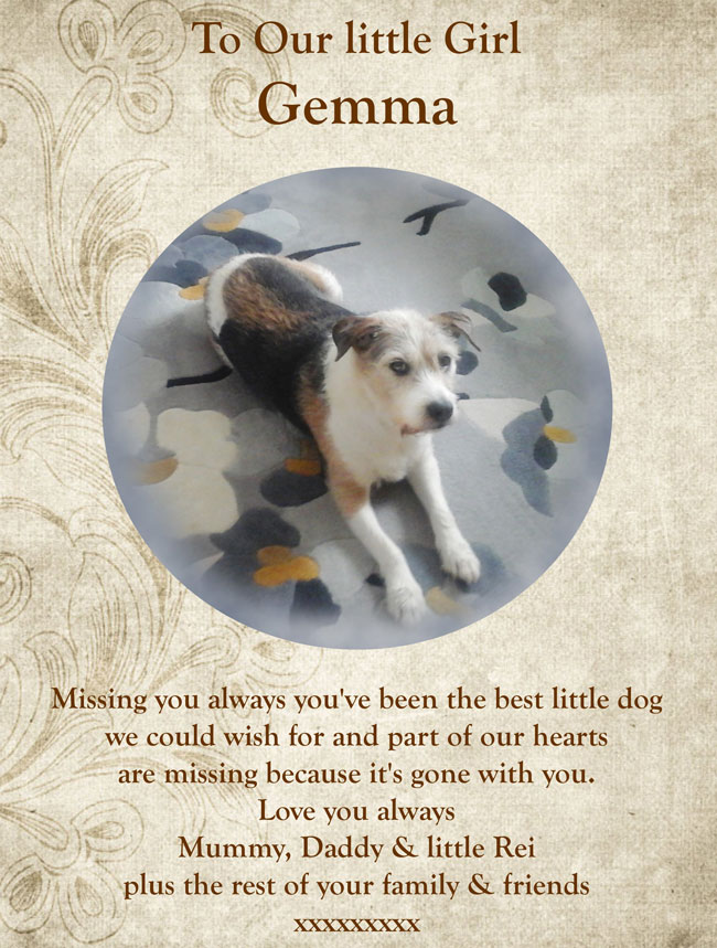 Pet Tribute to Gemma