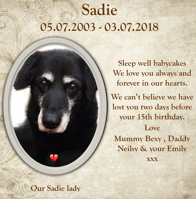 Pet Tribute to Sadie Barden