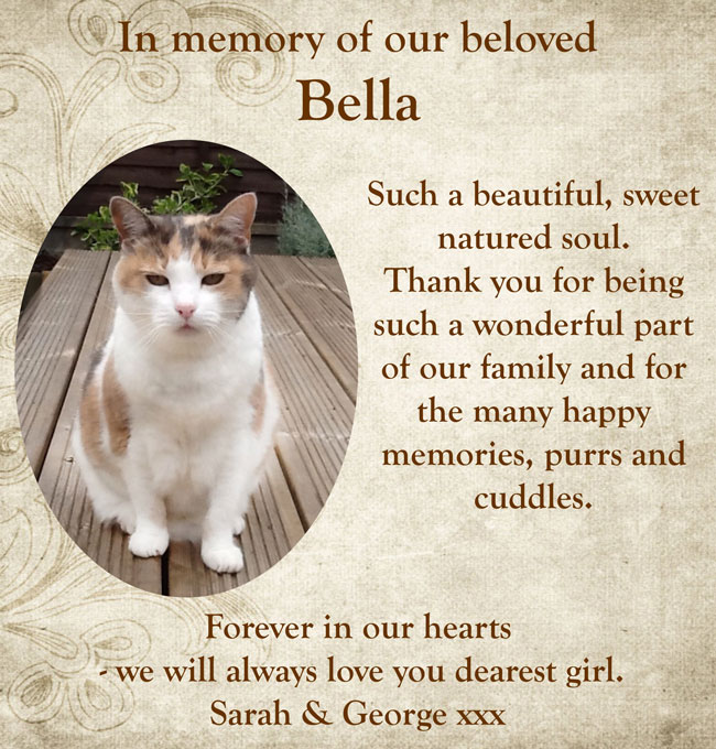 Pet Tribute to Bella Nassim